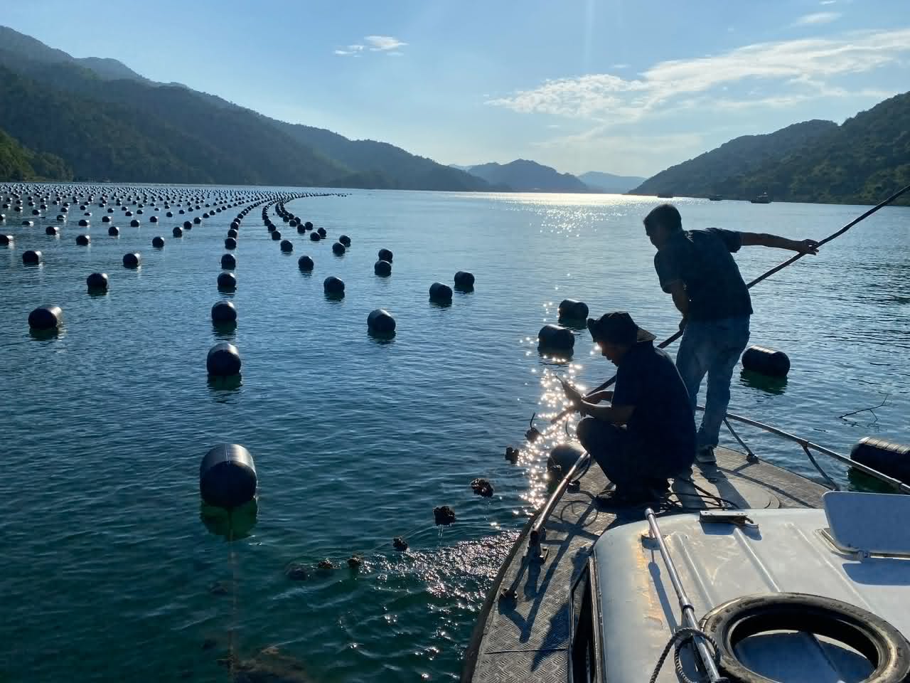 Coastal aquaculture bay in Vietnam catching the morning light